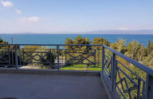 Beachfront House Villa 35min from Athens - Foto 48