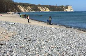 Ferienwohnungen Polchow - direkt am Wasser - Foto 22