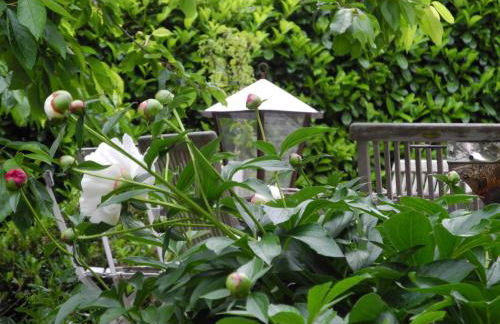 Ferienwohnung Geißler - Foto 3