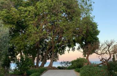 Agrirėlais Eremo Sant’Anna - Foto 6