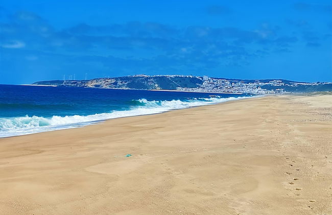 Cozy Vacation Rental in Peaceful Peral, Portugal - Photo 38