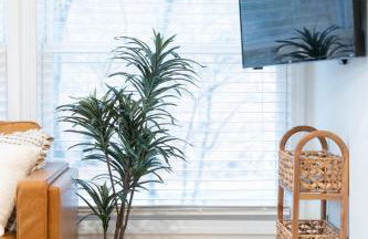 Sunflower Suite at The Wanderer - Foto 11