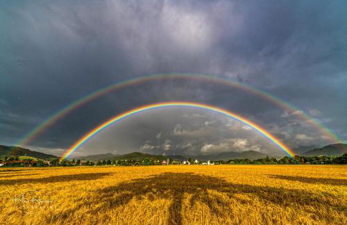 Ferienwohnung "Il Paradiso" in Schluchsee mit Dachterrasse und Seeblick - Foto 31