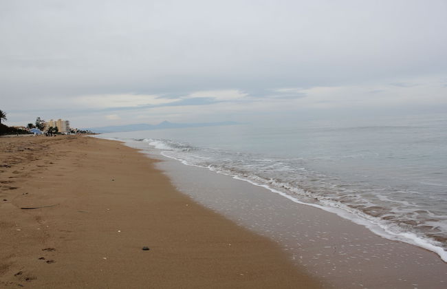 Trompeta Azul - Photo 62