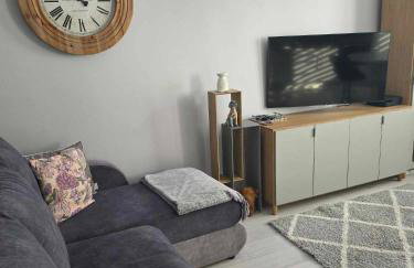 Bee Happy Apartament Wrzesnia - Foto 1