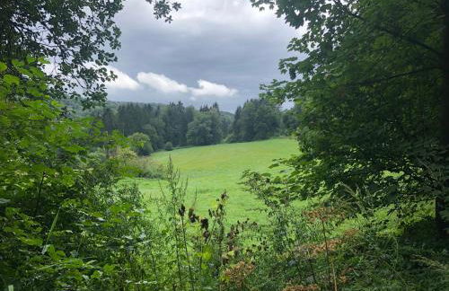 Ferienwohnung Waldruhe - Foto 14