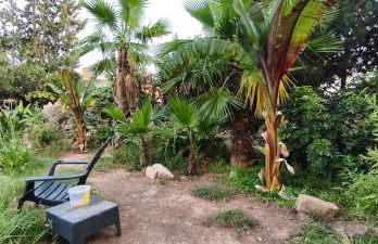 Villa Lago 2 - Photo 18