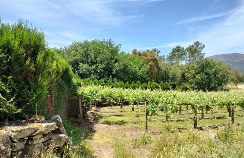 Casa das Bouças - Foto 33