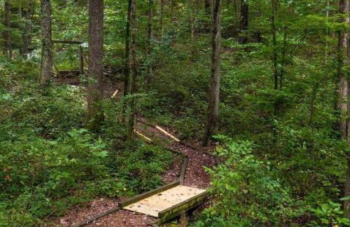 Peaceful Hideaway Treehouse near Little River Canyon - Foto 22