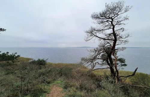 Wohnung in Lütow nahe Ostseestrand - Foto 26