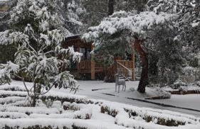 Jardín Las Secuoyas - Foto 4