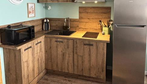 Chaleureux T2 au pied des pistes. Appt de 4 à 6 personnes. - Foto 5, stove, dishwasher, toaster