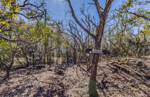 The Sandy Spot - Photo 32