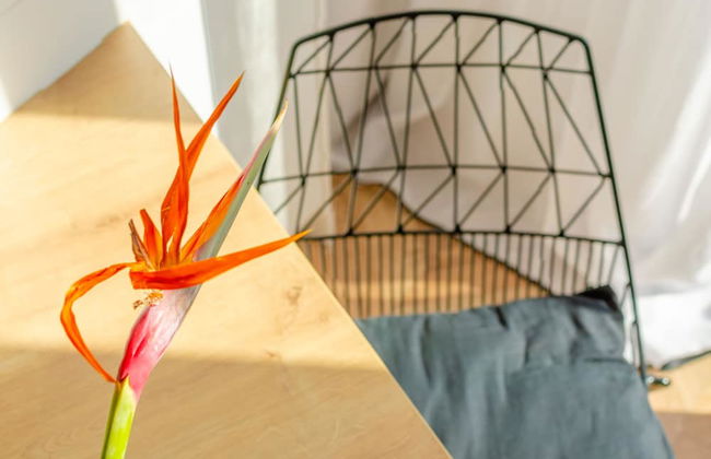 Chandakos 8 Design Apartments - Foto 30