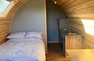 Carmel Pod - Photo 4