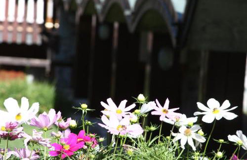 Residence Les Coupoles - Foto 21