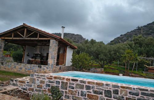 House of Polymnia - Photo 74