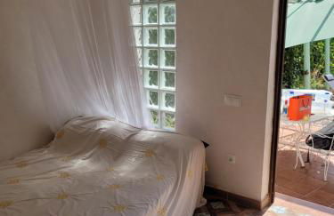 Trocito de Paraíso en la Sierra Espadán - Foto 19