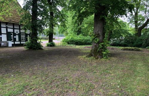 Bartholdskrug by Mini - Foto 6