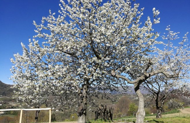 Il Casino di Donna Maria - Foto 59