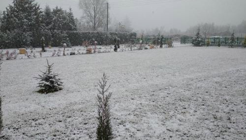 Kastor Chalets - Foto 3