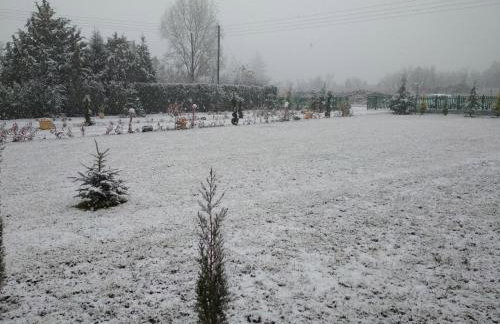 Kastor Chalets - Foto 3