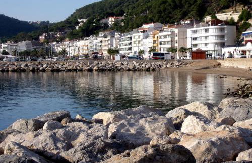 Trill Mirasol C primera linea mar L'Estartit - Photo 24