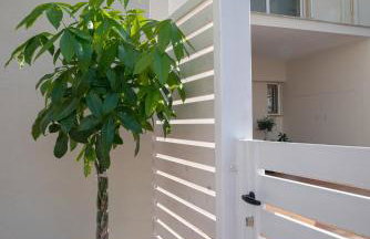 Coconut Blue - Photo 53