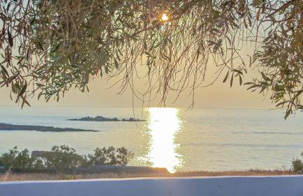 Ni&Gio Sterna 1 - Foto 5