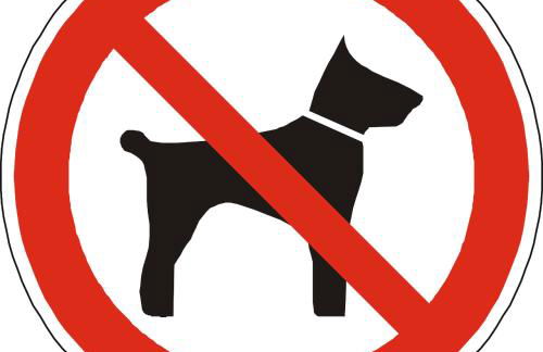 Altstadt Suite 120qm WLAN Balkon 2 Bäder - Foto 18