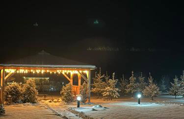 Domki Nad Sanem Bachórzec 6a - Foto 57