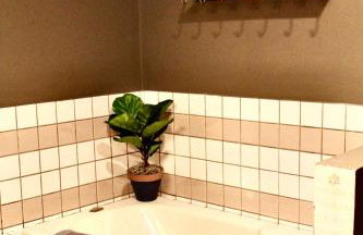 Browning Lambert Resort - Hatfield McCoy and Local Off-Road Trails - Foto 16