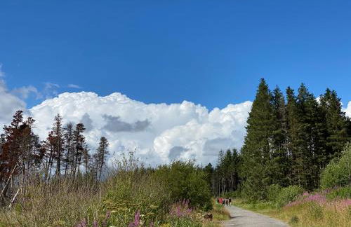 The Cwtch, Log Fire, Sleeps 6, Nr Zip World, Brecon and Bike Park Wales - Photo 54