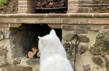 Oltrebosco Casa Vacanze - Foto 3