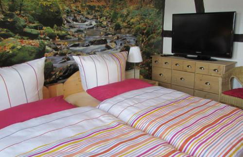 Eifel Quartier Ferienhaus - Photo 9