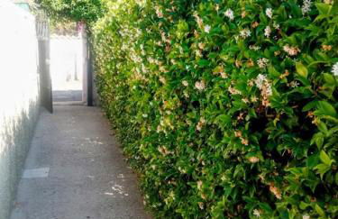 La casa di Carletta - Foto 25