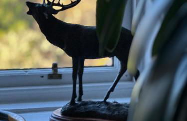 Spean Lodge - Foto 53