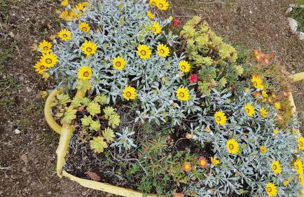 Holiday Home Subasic - Photo 13