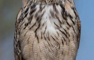 La Casa del Pan de Archivel - Foto 35