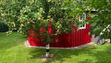 Haase Ferienwohnung - Foto 3, Garden