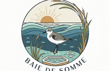 Gîte et Spa en Baie de Somme - Foto 22