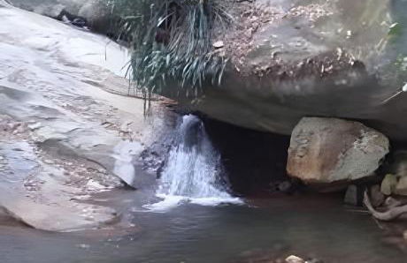 Sítio das Flores, 7 Km do centro de Castelo - Foto 29