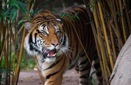 Crosby Backyard Oasis with Weekday Specials! - Foto 17