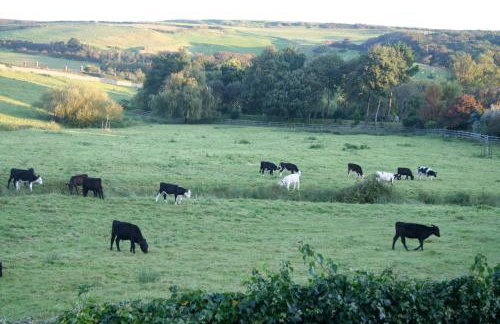 The Cottage Abbotsbury - Foto 11