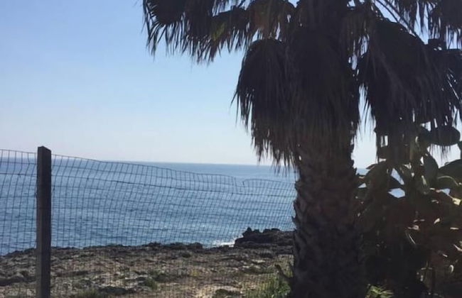 Villa Il Trullo - Photo 17