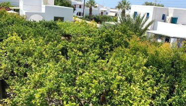 Rodia Studios & Apartments - Foto 3, Garden view