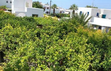 Rodia Studios & Apartments - Foto 3