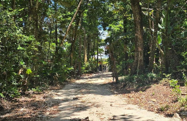 Cabañas Roca Verde Monteverde - Photo 63