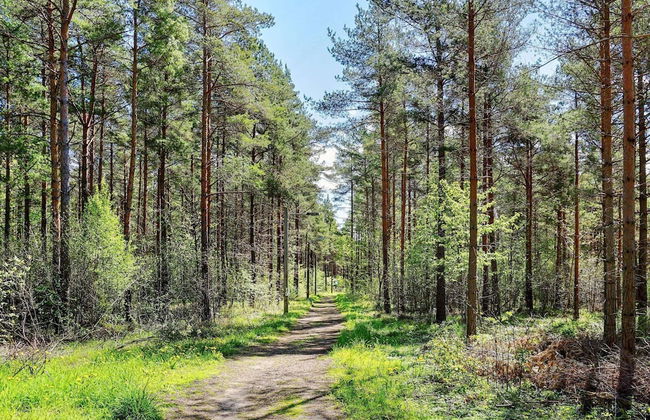 4 Person Holiday Home in Hemse - Foto 6