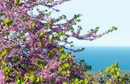 Casa Cedro in Luddui - Foto 61